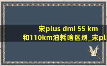 宋plus dmi 55 km和110km油耗啥区别_宋plus dmi55km和110km应该怎么选